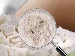 How To Get Rid Of Weevils Flour Bugs 10 Steps With Pictures Weevils Essential Oil Cleaning Recipes Bugs