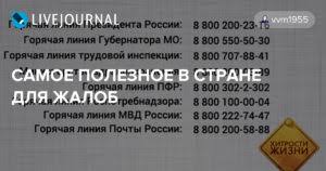 Telefon Goryachej Linii Trudovoj Inspekcii Pomosh Advokata