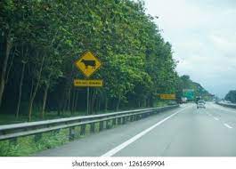 It is joined by the e1, and continues southward. North South Expressway Malaysia December 3 Stock Photo Edit Now 1261659904