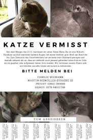 Haustierregister wie tasso und findefix bieten zwar die möglichkeit, ein. Katze Vermisst Tiersuchzentrale