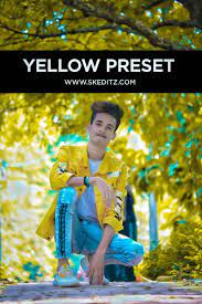 Priset Lightroom Presets For Portraits Best Free Lightroom Presets Free Lightroom Presets Portraits