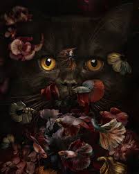 Temptation New Art Work Animal Wallpaper Cat Art Animal Photography
