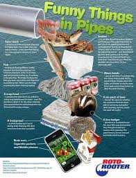 Funny Things In Pipes Roto Rooter