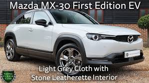 Image result for Arctic White 2024 MX-30