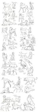 65 Super Ideas Drawing People Anatomy Pose Reference Dog Sketch Dog Drawing Animal Drawings