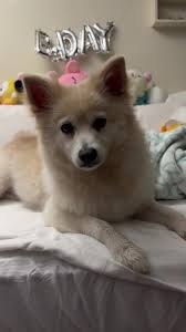 karla bock (@karlabockkk)