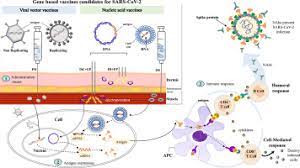 Several cases of unusual and serious cases of clotting combined with low levels of. Advances In Gene Based Vaccine Platforms To Address The Covid 19 Pandemic Sciencedirect