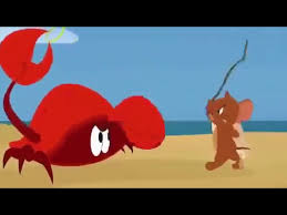 Tom & jerry | the friendship triangle | classic cartoon compilation | wb kids. Desene Animate Cu Tom Si Jerry In Romina Kidsfuntoons