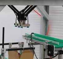 Delta Robot Case Packing Machine: High-Speed Automation