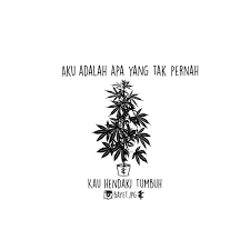 Pin Pa Apa Ya