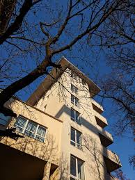 Check spelling or type a new query. Home Decor Plant Tree Window Tree Trunk Cozy Street City Piqsels