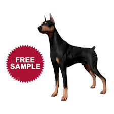 Doberman Sample By Alexander Lashko This Is A Sample Of A Doberman Real Time 3d Model Please Check The Full Feature 3d Model Whic Doberman 3d Model Mammals