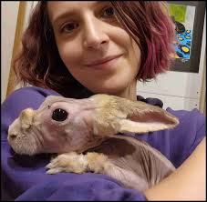 Hurricane Helene huffed & puffed, but most pig sanctuaries survived