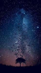 Maybe you would like to learn more about one of these? Night Sky Wallpaper Nawpic