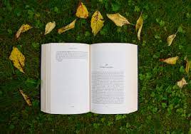 Durante i primi tre mesi del 2021, infatti, la vendita. Giornata Mondiale Del Libro 2021 Come Nasce E Dove Si Festeggia Style