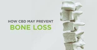 The main question we receive from customers is definitely how much cbd should i take? Cbd And Osteoporosis A Meaningful Application For Bone Health