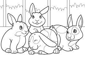 imagenes de conejos para colorear imagenes de conejitos conejos colores