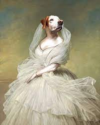Maybe you would like to learn more about one of these? Royal Pet Portraits Popsugar Uk Pets Photo 4