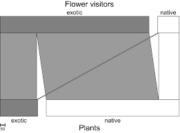 All our staff are professionally trained, enabling us to deliver effective treatment. Exotic Flower Visitors Exploit Large Floral Trait Spaces Resulting In Asymmetric Resource Partitioning With Native Visitors Kuppler 2017 Functional Ecology Wiley Online Library
