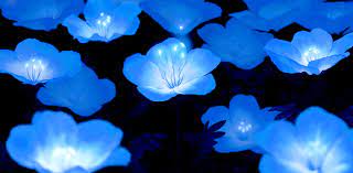 See more of beautiful in blue :3 on facebook. Animated Gif About Beautiful In All About Blue By Private User