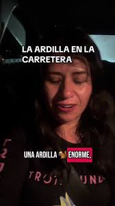 La aventurera ardilla en la carretera