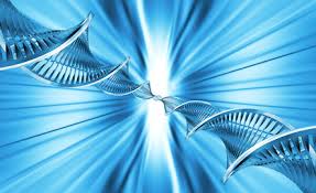 36 Strand DNA Activation