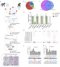 Annotation And Functional Clustering Of Circrna Expression