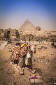 I told tom robbins that because i didn't want to tell tom robbins my big brother was dead and i was tom robbins's blessing would merely be the cherry on top. 9 Places Want To Visit Ideas Egypt Visiting Visit Egypt