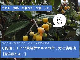びわの葉エキスの作り方と使い方 たった１５分で仕込めます あせも やけどに効果大 保存版 勝見美智子ブログ 実践的で丁寧な暮らし