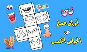 أوراق عمل عن الحواس الخمسة للأطفال جاهزة للطباعة flashcards cover template art