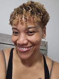 What is the identification of the insect in Hickory, NC?