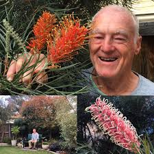 Tims Garden Centre Campbelltown NSW