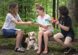 Equine therapy, clinical therapy, academics Programs For Troubled Teens From Georgia