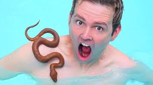 SURPRISE HIDING IN POOL!