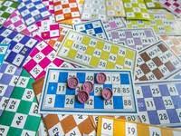 What makes this online game so attractive is its simple rules and one of a kind graphics. Free Keno Games No Download Casinofreak Com