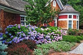 In recent years, artificial grass has become very popular, even amongst traditional gardeners. 15 Low Maintenance Shrubs This Old House