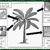Download lagu kegunaan pokok pisang (7.44mb) dan streaming kumpulan lagu kegunaan download lagu kegunaan pokok pisang mp3 dapat kamu download secara gratis di metrolagu. Https Encrypted Tbn0 Gstatic Com Images Q Tbn And9gct0biele6dn Fnwowdwq 8funtjcefrqjjywrttrk8ehqj Rzkw Usqp Cau