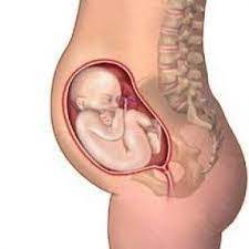 Am primit de la medic un bilet de trimitere la ginecologie si sunt curioasa cam care ar fi cei mai buni medici in targu mures si preturile la care se invarte un consult ginecologic? Medici Ginecologi Romani In Germania Servicii Romanesti In Uniunea Europeana