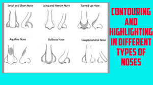 Feb 01, 2019 · the same goes for bunnies since we often wrinkle our noses during a big smile or when wincing in agony. How To Contour And Highlighting Different Nose Types With Demo Youtube