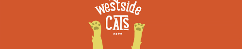 Check poison symptoms, diagnosis & treatments. Madison West Side Cat Clinic Cat Care Clinic