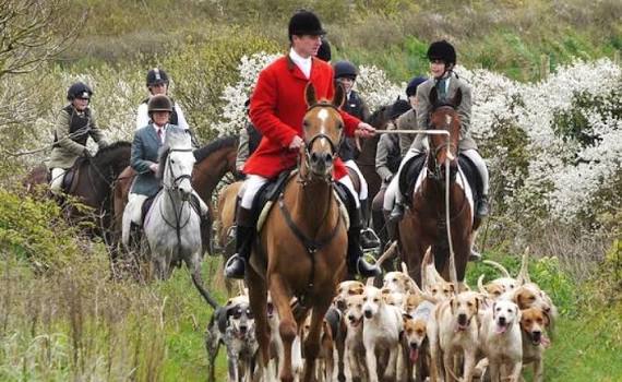 Parties back tougher fox hunting laws