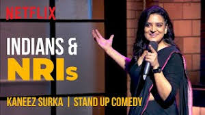 Netflix and third parties use cookies and similar technologies on this website to collect information about your browsing activities which we use to analyse your use of the website, to personalise our services and to customise our online netflix supports the digital advertising alliance principles. Indians Nris Kaneez Surka Stand Up Comedy Ladies Up Netflix India Youtube