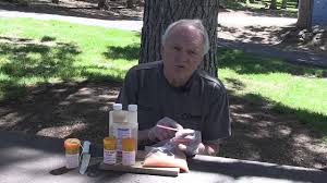 Yellow jackets prefer to build their nests in the ground, usually in an old rodent burrow or similar hole. Alpine Yellowjacket Bait Stations Youtube