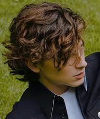 Pin By Sydney On Timothee Timothee Chalamet Straight Hairstyles Timmy T