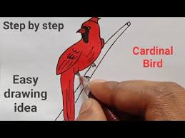 Check spelling or type a new query. Download How To Draw A Cardinal Bird Easy Drawing Dra