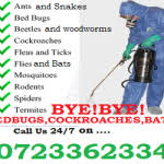 Termites on their tracks by offering inspection,detection,control and prevention of termites and termites hills form infesting your residential property. Best Pest Control In Kenya List Of Pest Control Services Kenya