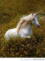 The unicorns are sacred trope as used in popular culture. Cute Drawing Pictures Of Unicorns Novocom Top