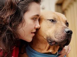 Hours may change under current circumstances Unbreakabull Pitbull Rescue