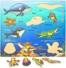 Toyvala Aquatic Sea Animals Different Species In A Puzzle Toy Aquatic Sea Animals Different Species In A Puzzle Toy Buy Wooden Puzzle Water Animal Toys In India Shop