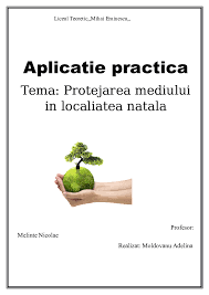Maybe you would like to learn more about one of these? Doc Tema Protejarea Mediului In Localiatea Natala Moldovanu Adelina Academia Edu